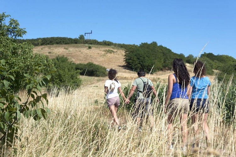 Sentier : autour du Kochersberg
