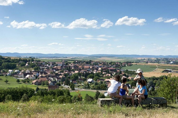 Sentier : autour du Kochersberg
