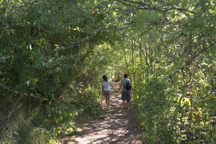Sentier : autour du Kochersberg