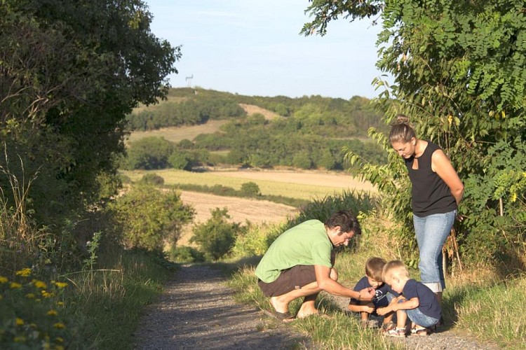 Sentier : autour du Kochersberg