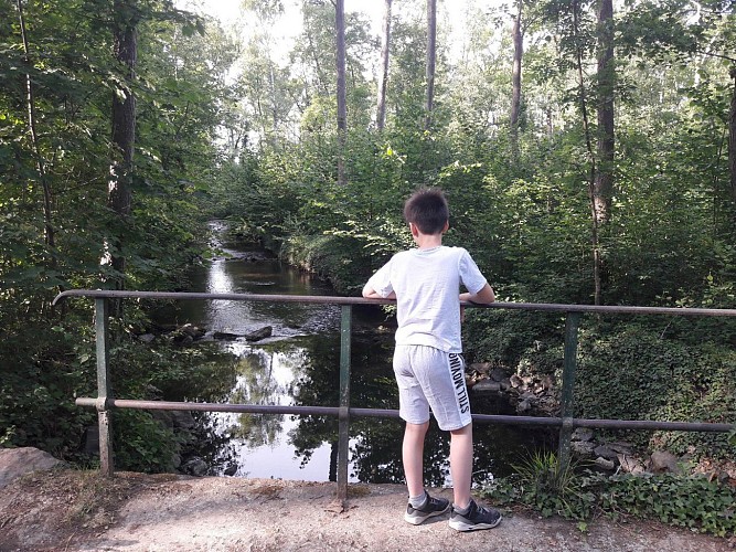 River Ill trail, Benfeld