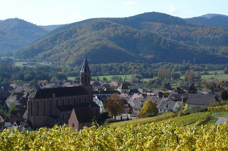 BL633 - A tale of wine and cheese in Munster Valley