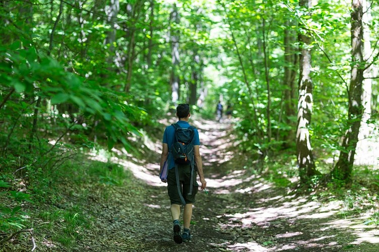 Chemin balisé vers la Waldkapelle