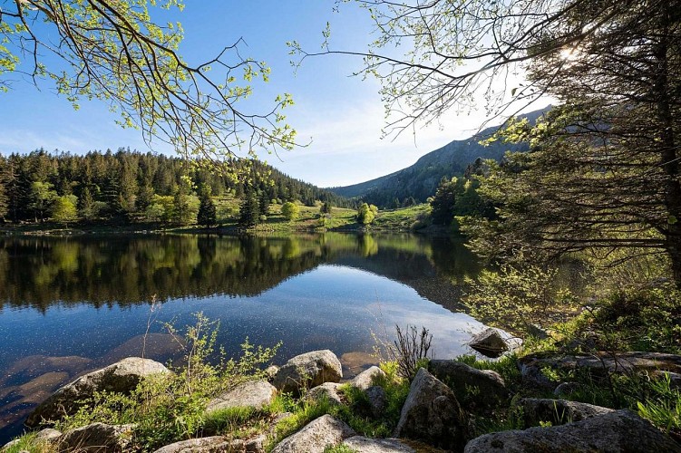 Randonnée des 2 Lacs : le Lac du Forlet et le Lac Vert