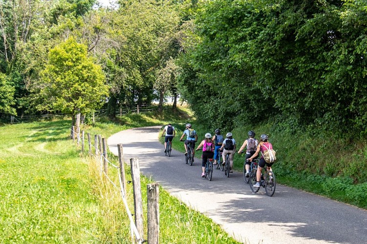 Piste cyclable du Sundgau
