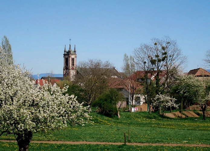 A la découverte de Sausheim