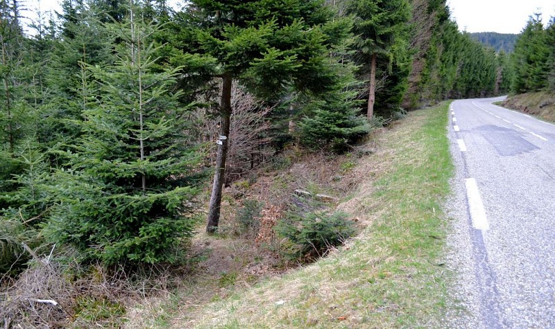 Hiking trail D03: Befestigte Positionen nördlich des Donon