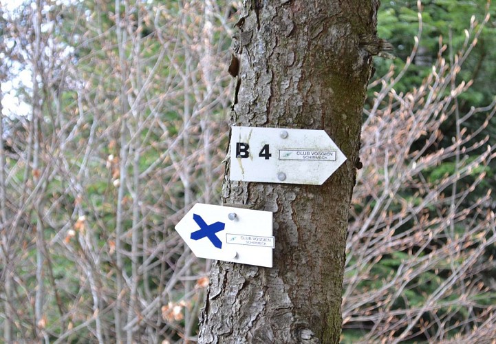 Hiking trail D03: Befestigte Positionen nördlich des Donon