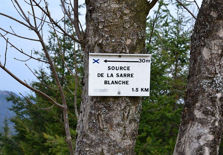 Hiking trail D03: Befestigte Positionen nördlich des Donon