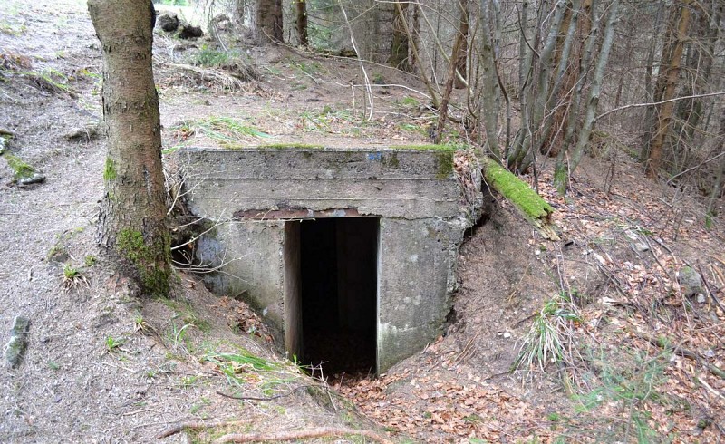 Hiking trail D03: Befestigte Positionen nördlich des Donon