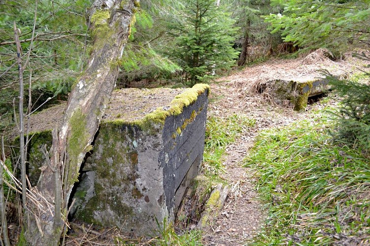 Circuit rando D03: Positions fortifiées nord du Donon