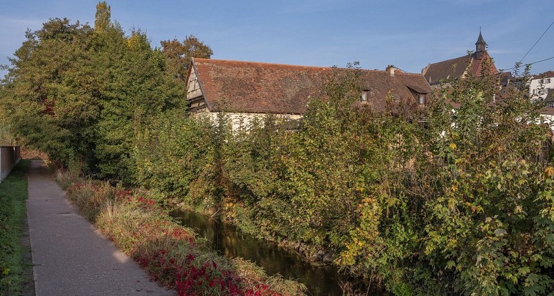 Nordic Walking trail - Geisweg