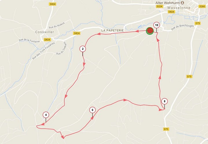 Nordic Walking trail - Geisweg