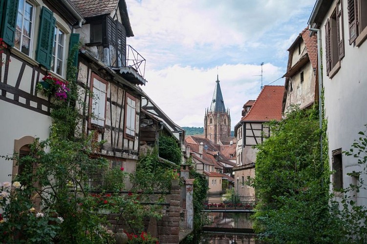 Le Schlupf, très beau point de vue pittoresque