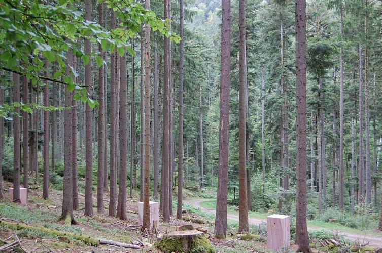 Hiking trail B11: The sculpture trail - Roche solaire 1