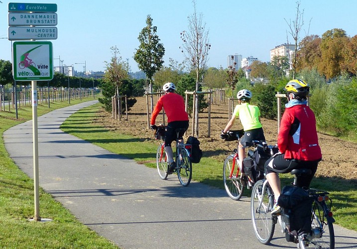 BL281 - Forêts et cours d’eaux autour de Mulhouse