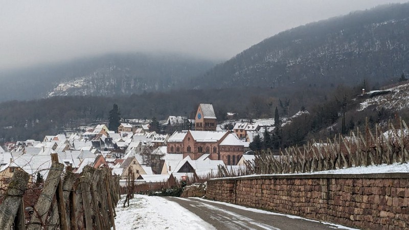 The Grand Cru Goldert walk