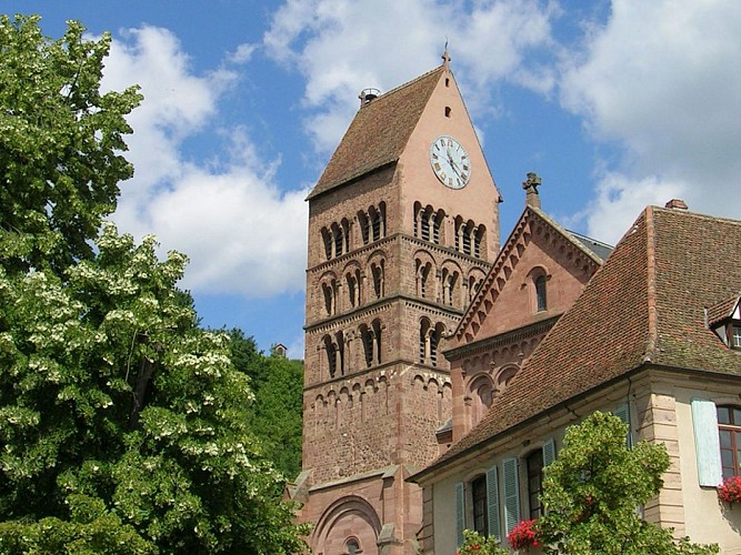 The Grand Cru Goldert walk