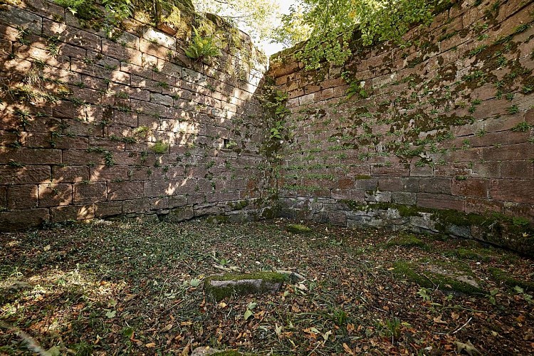 Thematisches Rundweg : Der Burgpfad von Salm