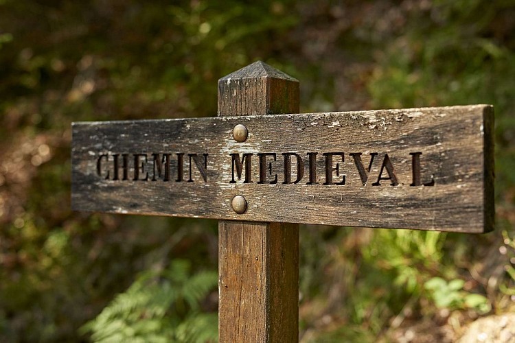 Themed trail : Le sentier du Château de Salm