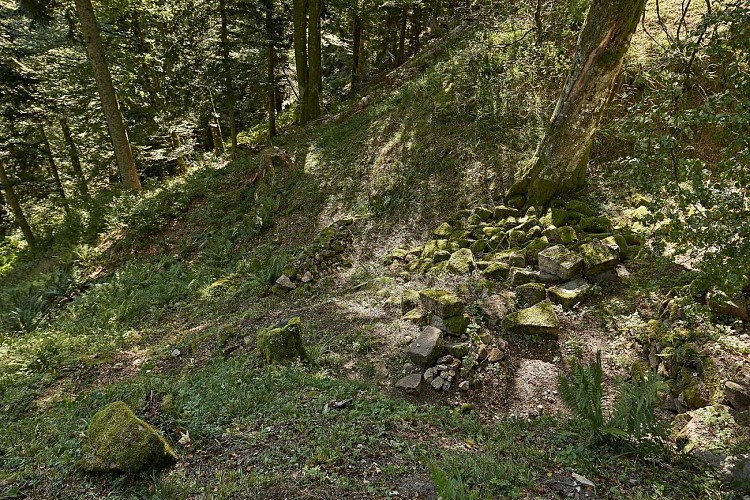 Sentier thématique : Le sentier du Château de Salm