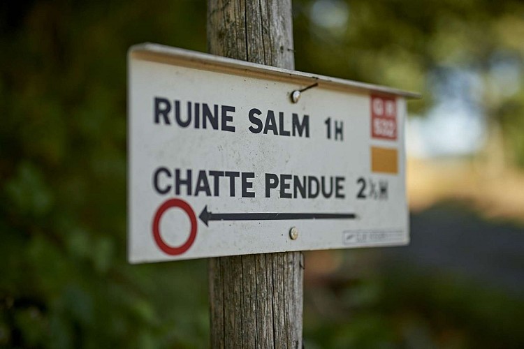 Sentier thématique : Le sentier du Château de Salm