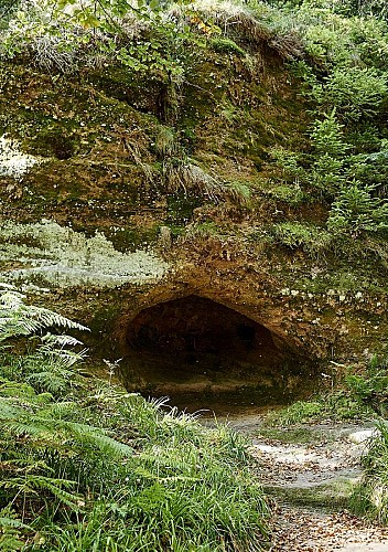 Sentier thématique : Le sentier du Château de Salm