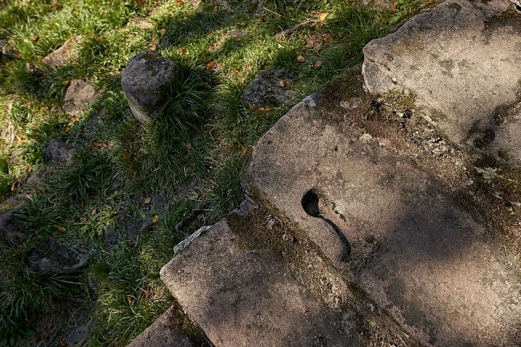 Sentier thématique : Le sentier du Château de Salm