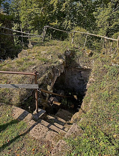 Sentier thématique : Le sentier du Château de Salm