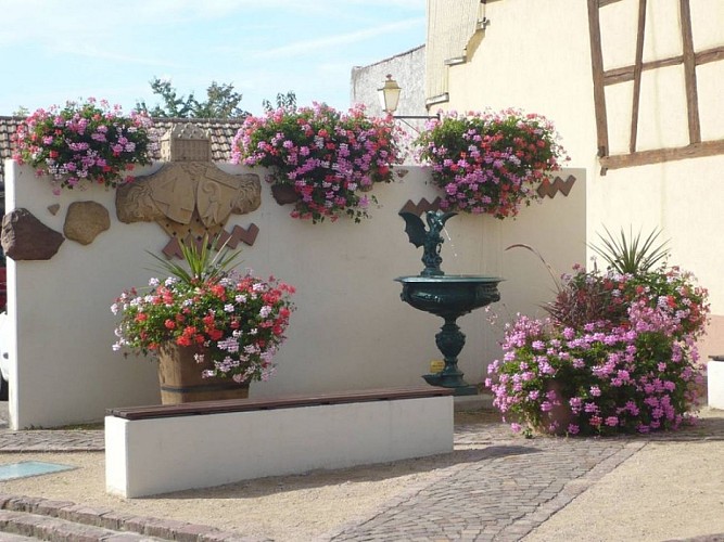 Der Rosengarten und der Grand Cru Hatschbourg