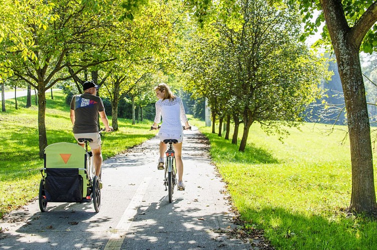 Véloroute de la vallée de la Sauer