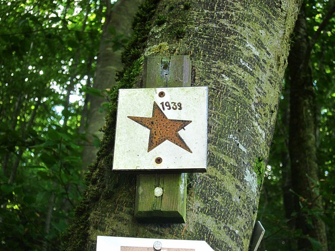 Etoile des Marocains