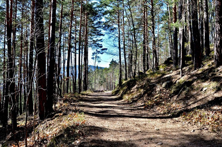 Mountainbike Strecke 6 - Der Faudé turm