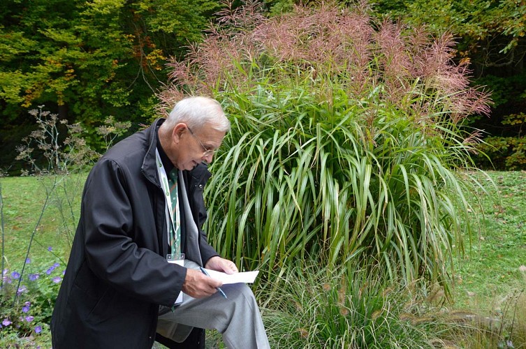 Faune et flore locale vers le château de la Wasenbourg, Niederbronn-les-Bains, Alsace