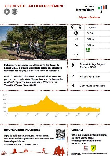 Cycling tour - In the heart of Piedmont
