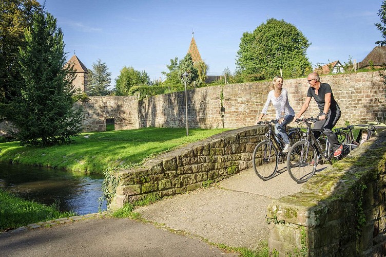 Remparts de Wissembourg