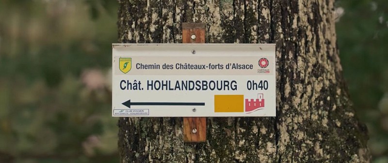 Chemin des châteaux forts d'Alsace
