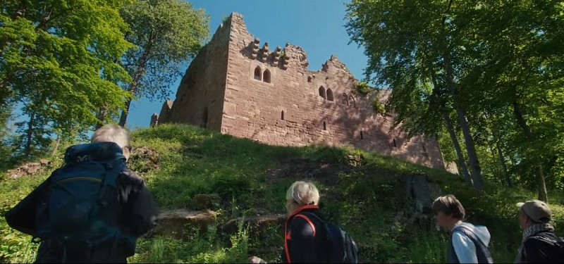 Chemin des châteaux forts d'Alsace