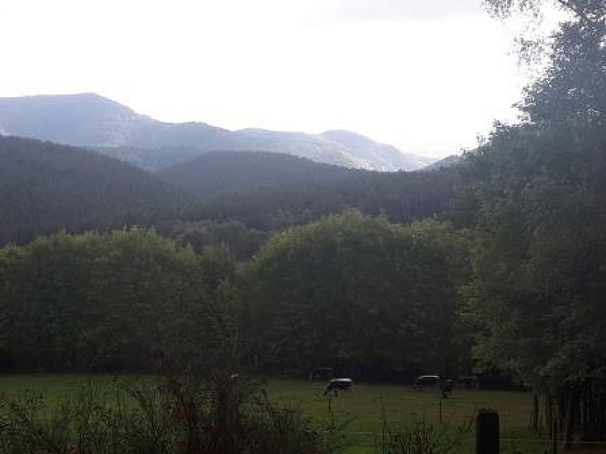 Nordic Walking Aubure grüne Spur