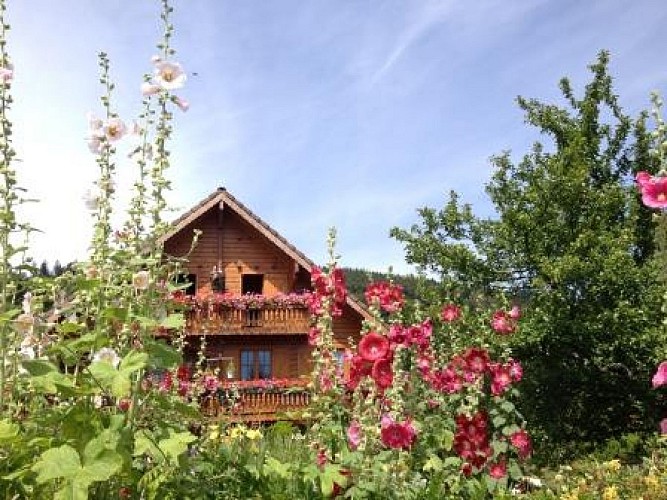 Nordic Walking Aubure grüne Spur