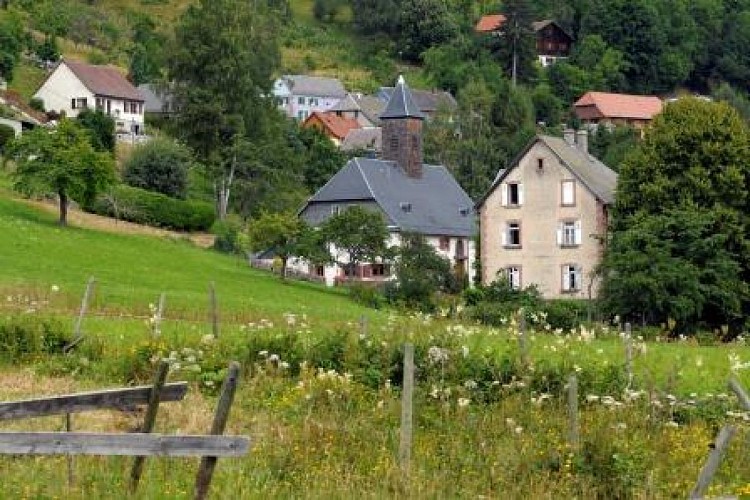 Marche nordique Aubure tracé vert