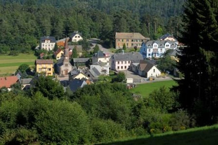 Marche nordique Aubure tracé vert