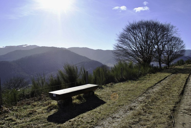 ECOBALADE - Découverte du Stockenberg