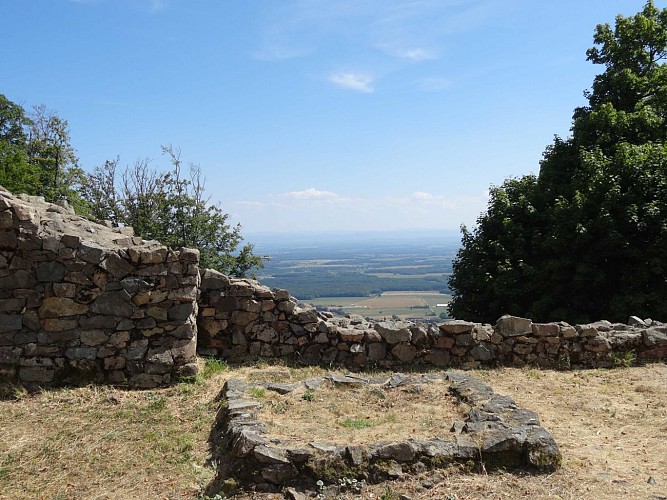 Marche santé Masevaux Montori