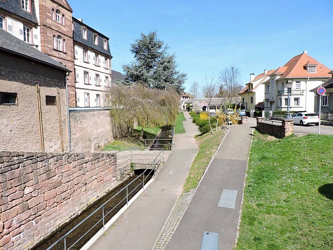 Canal Coulaux à Molsheim