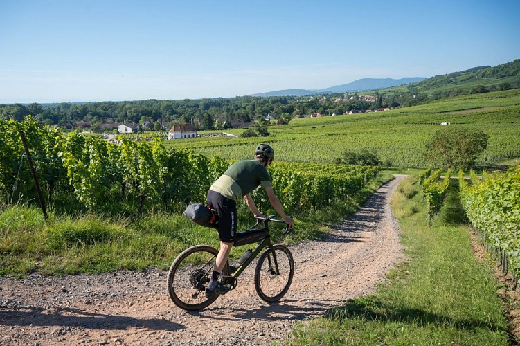 Circuit vélo Vers les Portes du Bonheur
