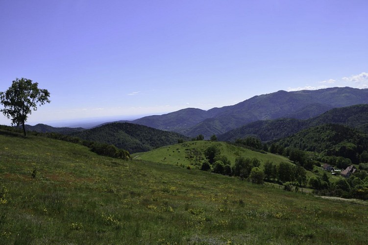 Circuit VTT n°35 : Le Gerstacker