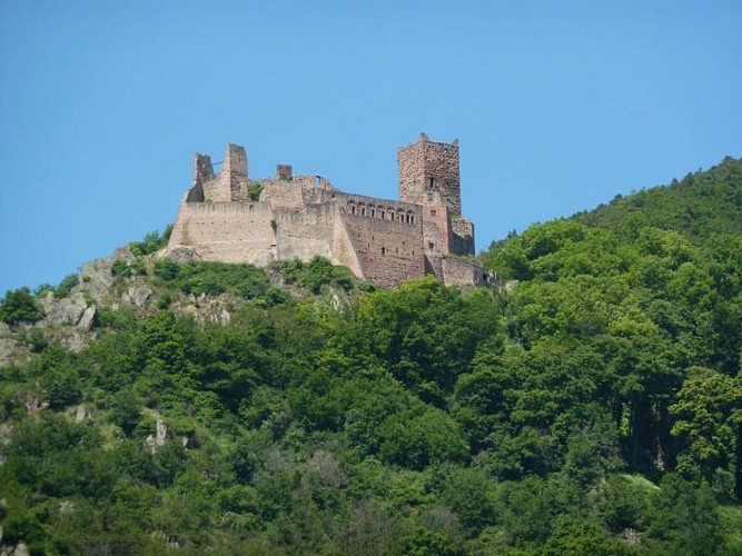 Hike to the castles Saint-Ulrich and Girsberg