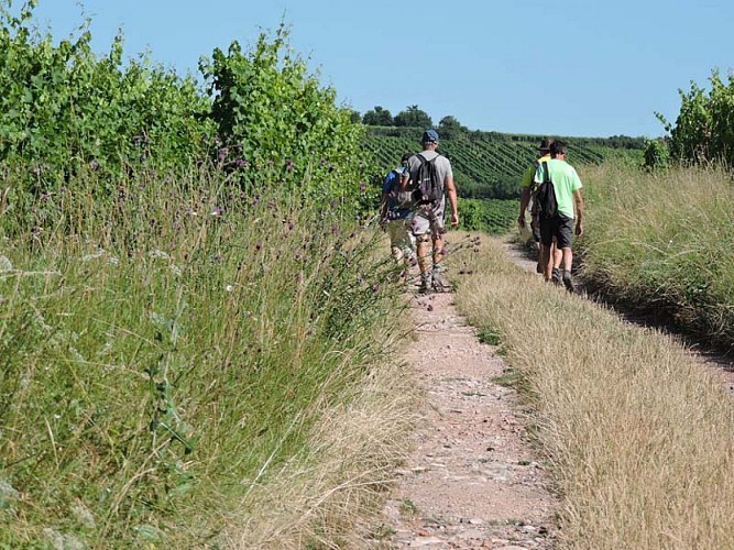 Randonnée Sentier des croix et oratoires - parcours total