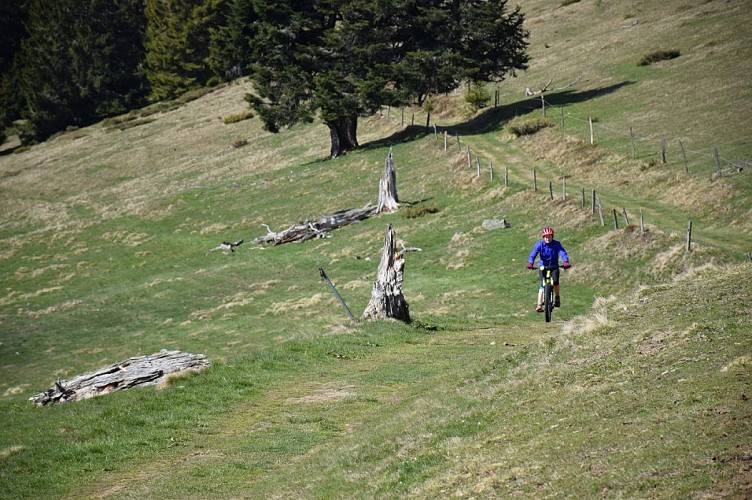 Markstein Tour Mountainbike FFC Nr.30